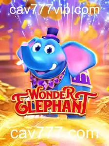 Descubra o Mundo Mágico de WonderElephant: O Novo Fenômeno de Jogo